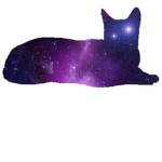 Galaxy Cat Clothes