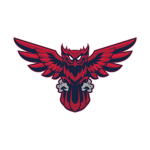 [CO] THE GLOWING OWLS
