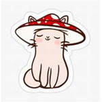 Dino Catz