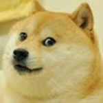 DOGE fan group PARTY