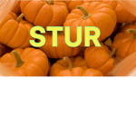 STUR Fan Club