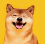 DogeGotDrip