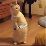 Stewpeedity