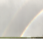 Smiley Rainbows