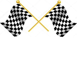 Flag winners
