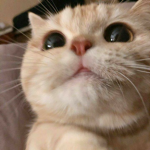 cloudy~cute