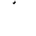 Crown of Night
