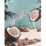 -coconutxclothing-