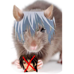 The Certified Idiot Rats