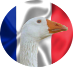 Republic of Gooseland