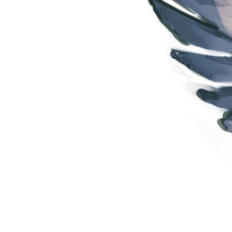 🕊️