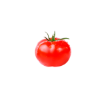 TOMATO!!!