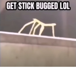 Meme_group-
