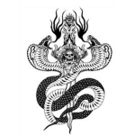 Cobras of the world