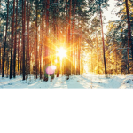 Sunny / Snowy Studios