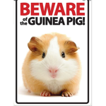 Guineapiglover39