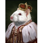 The house of mouse