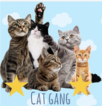 DaCatGang