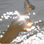 iiiiariana_x
