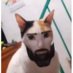 Karışık Mekan