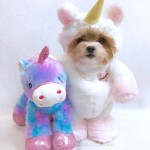 Uni Pups