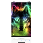 The boys of wolves