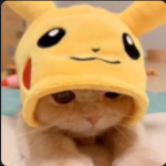 Hey guys :>