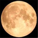moon squad