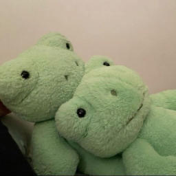 🐸🪷