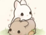 the cutest bunnys