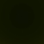 WELL FOUGHT, I CONCEDE