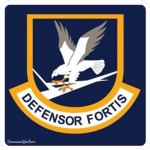 Air Force Security Forces ̣