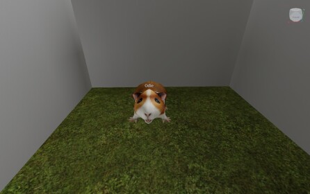 Mini Zoo / Zoologia 