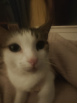 ~ misu ~