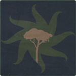 Gkrur Tribe of Kashyyyk