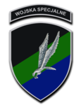 Special Logistics Operations Team