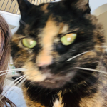 TinkerCats