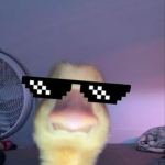 Click Beats Steal