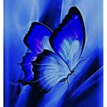 The blue butterflys and flowers