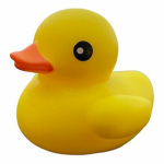 Corporation of Ducks
