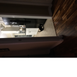Sneaky kitty