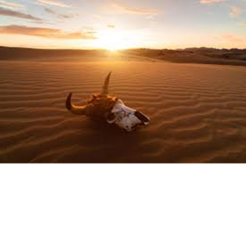 Desert Warfare Tycoon