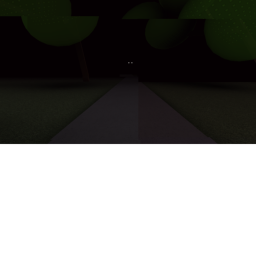 The scary forest!