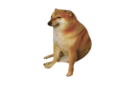 kito's community