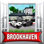 Brook haven RP DAY