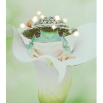 Rookie Army (the frog)
