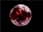 Perfect Akatsuki
