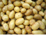 the club of potatoes