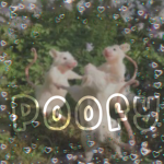 Poofyy