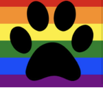 Fandom + lgbtq safe space